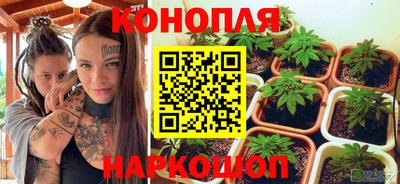 стафф Заволжье