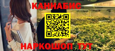 стафф Заволжье