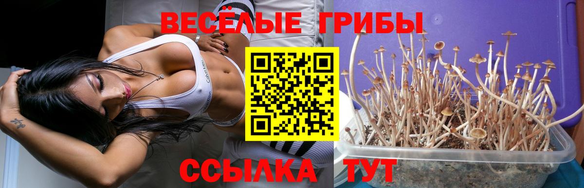 Галлюциногенные грибы ЛСД Лесосибирск